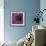 Allium Flower (Allium Sp.)-Cristina-Framed Premium Photographic Print displayed on a wall