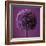 Allium Flower (Allium Sp.)-Cristina-Framed Premium Photographic Print