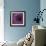 Allium Flower (Allium Sp.)-Cristina-Framed Premium Photographic Print displayed on a wall