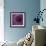 Allium Flower (Allium Sp.)-Cristina-Framed Premium Photographic Print displayed on a wall