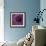 Allium Flower (Allium Sp.)-Cristina-Framed Premium Photographic Print displayed on a wall