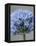 Allium flower-Clive Nichols-Framed Premier Image Canvas