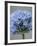 Allium flower-Clive Nichols-Framed Photographic Print