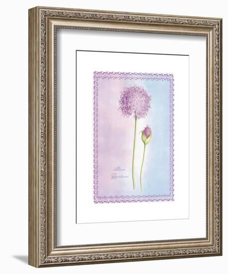 Allium Giganteum-Nicola Rabbett-Framed Art Print