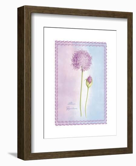 Allium Giganteum-Nicola Rabbett-Framed Art Print