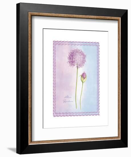 Allium Giganteum-Nicola Rabbett-Framed Art Print