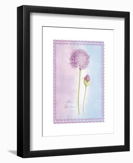 Allium Giganteum-Nicola Rabbett-Framed Art Print