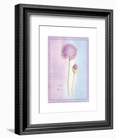 Allium Giganteum-Nicola Rabbett-Framed Art Print