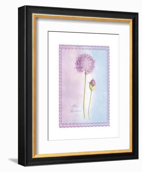 Allium Giganteum-Nicola Rabbett-Framed Art Print