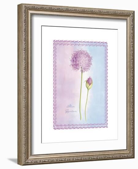 Allium Giganteum-Nicola Rabbett-Framed Art Print