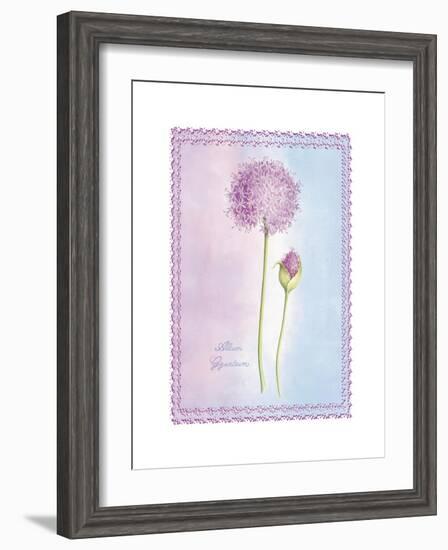 Allium Giganteum-Nicola Rabbett-Framed Art Print