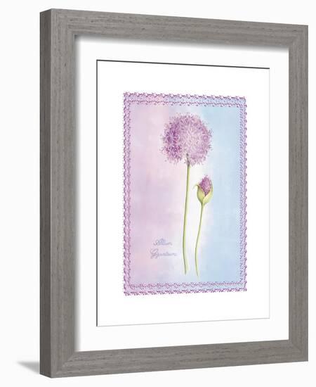 Allium Giganteum-Nicola Rabbett-Framed Art Print