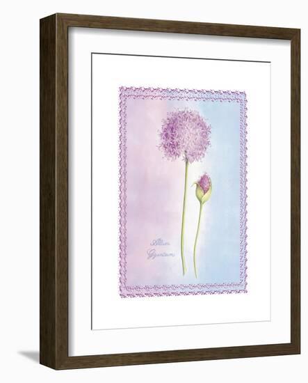 Allium Giganteum-Nicola Rabbett-Framed Art Print