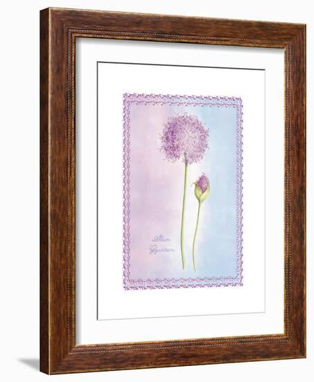 Allium Giganteum-Nicola Rabbett-Framed Art Print