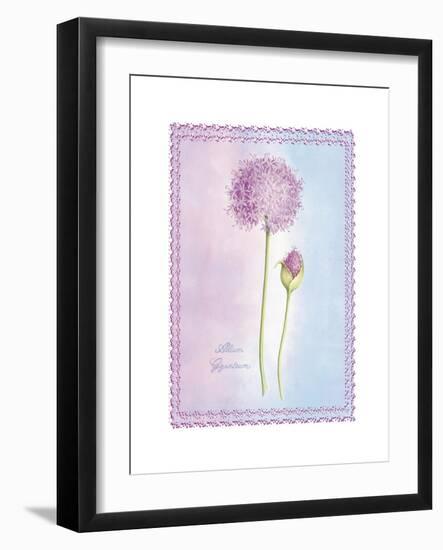 Allium Giganteum-Nicola Rabbett-Framed Art Print