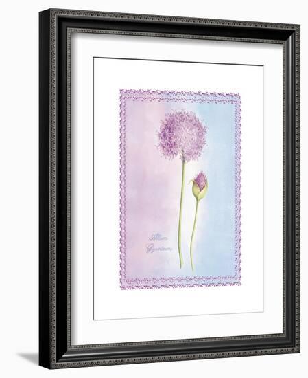 Allium Giganteum-Nicola Rabbett-Framed Art Print