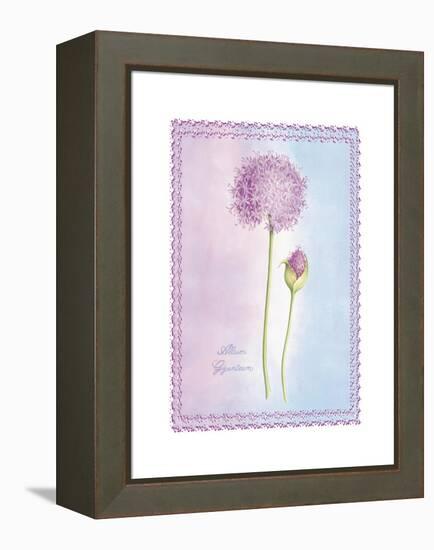 Allium Giganteum-Nicola Rabbett-Framed Stretched Canvas