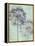 Allium Globe Master-Judy Stalus-Framed Premier Image Canvas