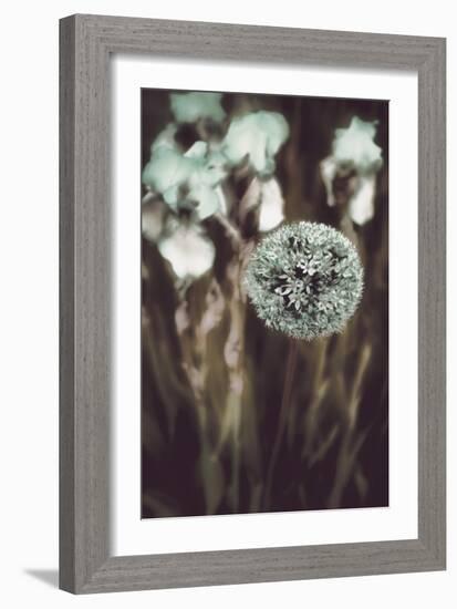 Allium Mint-Mindy Sommers-Framed Giclee Print