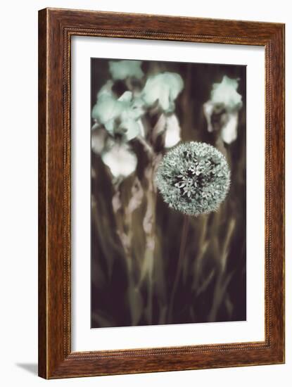 Allium Mint-Mindy Sommers-Framed Giclee Print