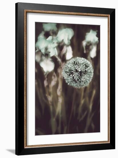 Allium Mint-Mindy Sommers-Framed Giclee Print