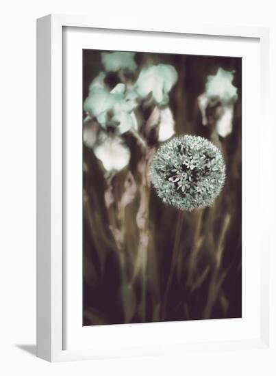 Allium Mint-Mindy Sommers-Framed Giclee Print