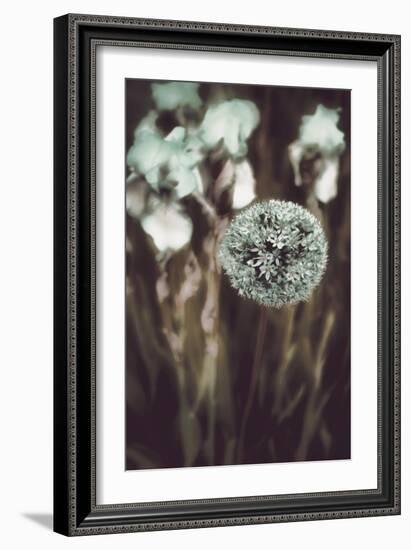 Allium Mint-Mindy Sommers-Framed Giclee Print