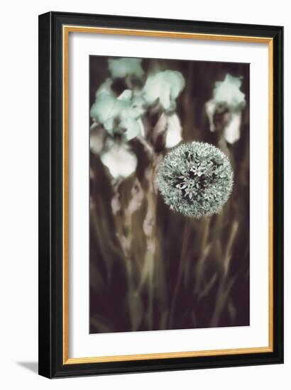 Allium Mint-Mindy Sommers-Framed Giclee Print