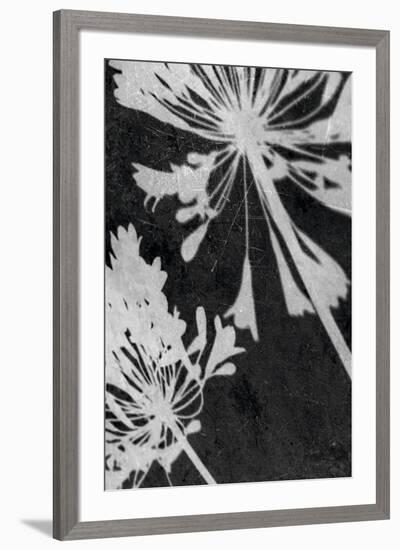 Allium Shadow-Ella Lancaster-Framed Giclee Print