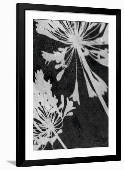 Allium Shadow-Ella Lancaster-Framed Giclee Print