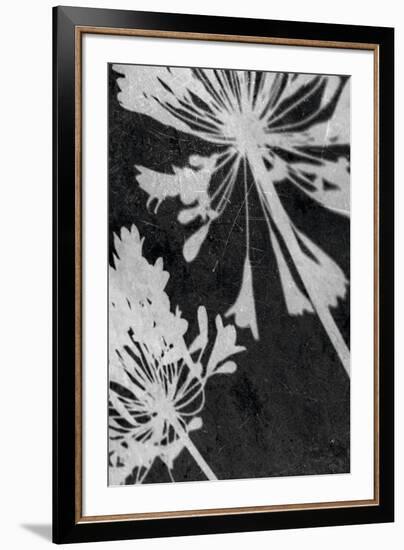 Allium Shadow-Ella Lancaster-Framed Giclee Print