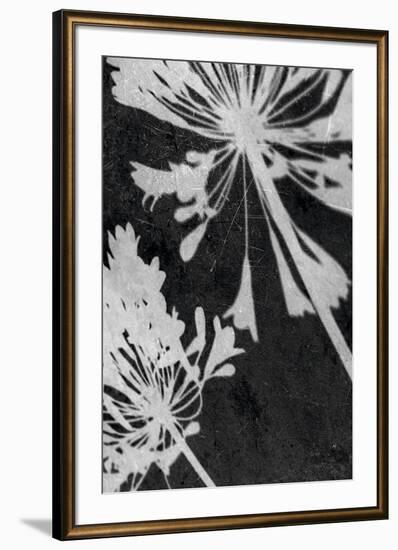 Allium Shadow-Ella Lancaster-Framed Giclee Print