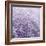 Allium Thistle-Assaf Frank-Framed Giclee Print