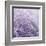 Allium Thistle-Assaf Frank-Framed Giclee Print