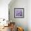 Allium Wisteria-Assaf Frank-Framed Giclee Print displayed on a wall