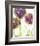 Alliums-Dawn Derman-Framed Art Print