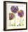 Alliums-Dawn Derman-Framed Art Print