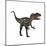 Allosaurus, a Prehistoric Era Dinosaur-null-Mounted Art Print