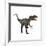 Allosaurus, a Prehistoric Era Dinosaur-null-Framed Art Print