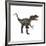 Allosaurus, a Prehistoric Era Dinosaur-null-Framed Art Print