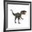 Allosaurus, a Prehistoric Era Dinosaur-null-Framed Art Print