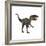 Allosaurus, a Prehistoric Era Dinosaur-null-Framed Art Print