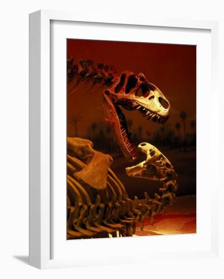 Allosaurus and Camptosaurus, Museum-Mark Gibson-Framed Photographic Print