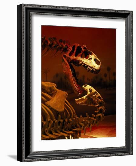 Allosaurus and Camptosaurus, Museum-Mark Gibson-Framed Photographic Print