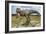 Allosaurus Dinosaur, Artwork-Roger Harris-Framed Photographic Print