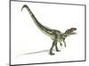 Allosaurus Dinosaur, Artwork-null-Mounted Photographic Print