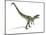 Allosaurus Dinosaur, Artwork-null-Mounted Photographic Print