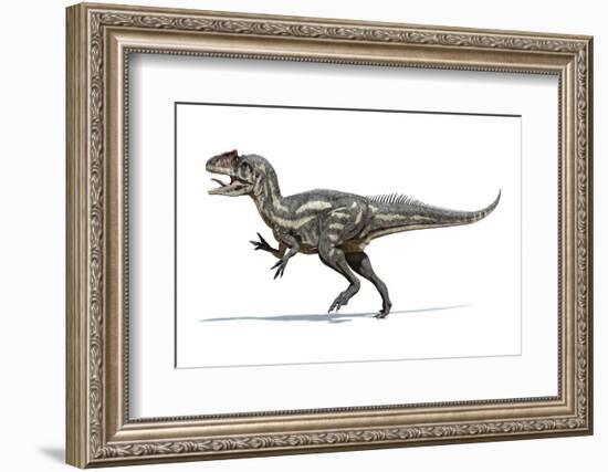 Allosaurus Dinosaur, Artwork-null-Framed Photographic Print