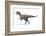 Allosaurus Dinosaur, Artwork-null-Framed Photographic Print