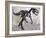 Allosaurus Dinosaur Skeleton-Stocktrek Images-Framed Art Print